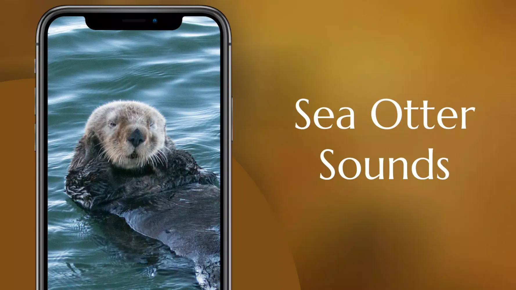 Скриншоты Sea Otter Sounds