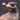 Thai Bird: Sounds & Ringtones