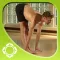 Ashtanga Yoga - Introduction - Richard Freeman