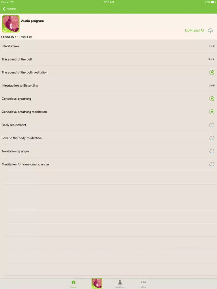 Capturas de tela do Plum Village Meditations — Thich Nhat Hanh iPad 
