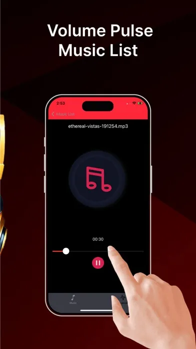 Ảnh chụp màn hình của Volume Pulse
