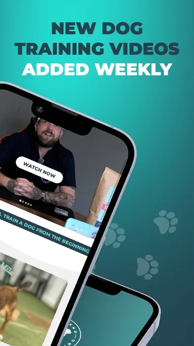 Скриншоты Southend Dog Training