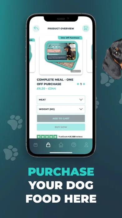 Скриншоты Southend Dog Training