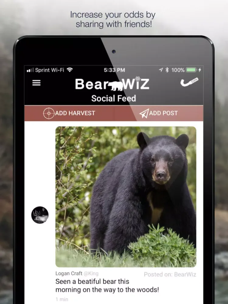 صور Bear Wiz: Hunting Predictions iPad 
