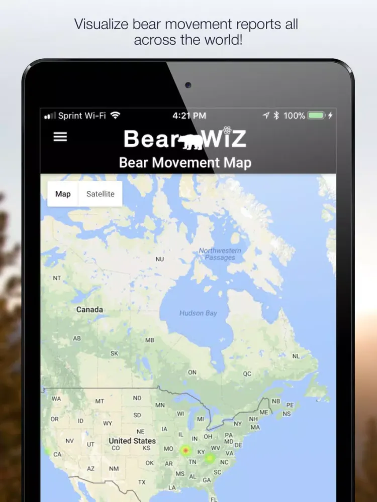 صور Bear Wiz: Hunting Predictions iPad 