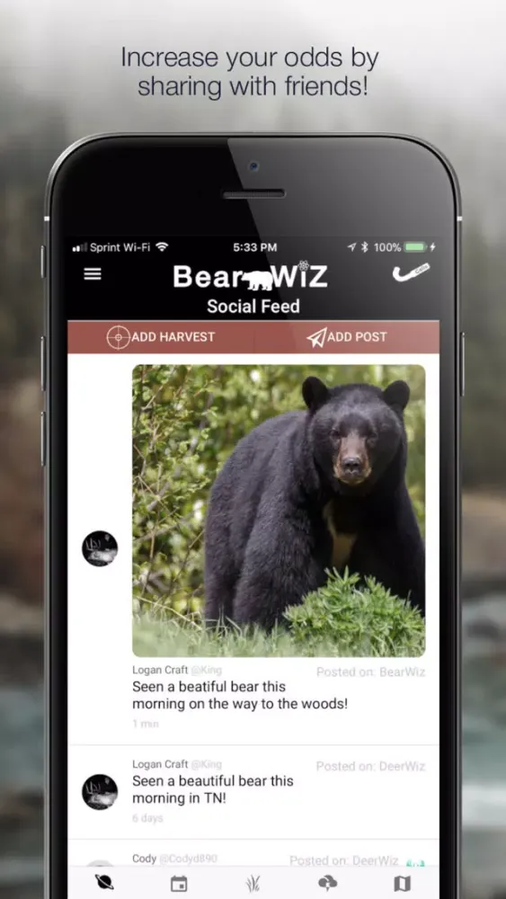 صور Bear Wiz: Hunting Predictions