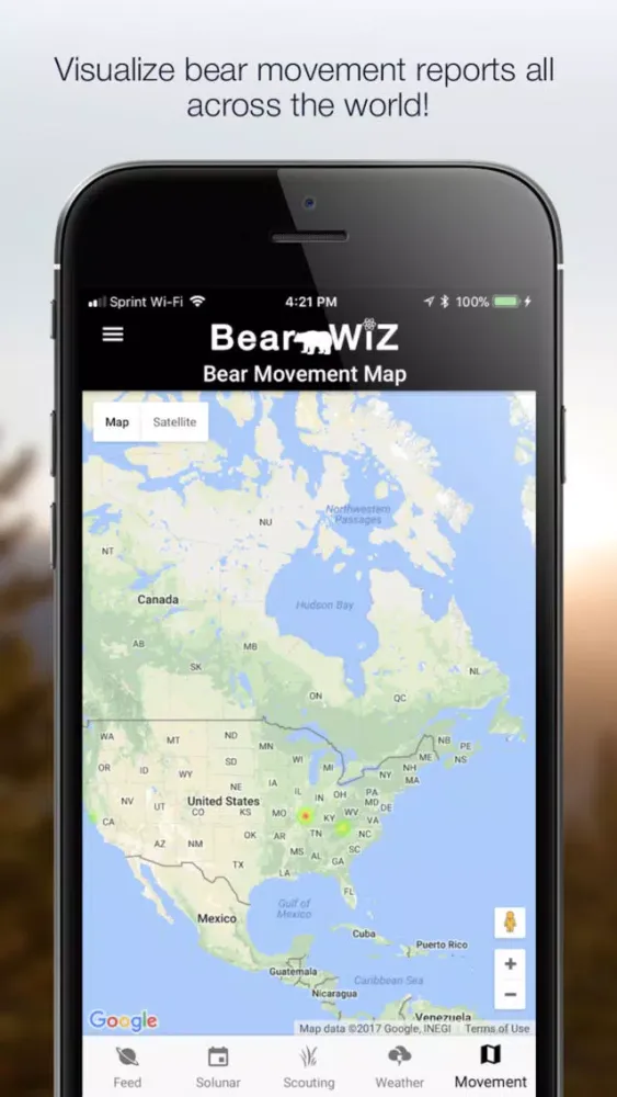 صور Bear Wiz: Hunting Predictions