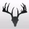 Deer Movement