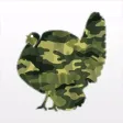 Turkey Hunting Tools and Pro Calling Turkey Hunting Tools and Pro Calling