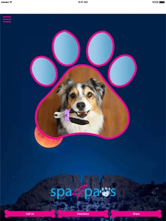 Tangkapan layar Spa 4 Paws CO iPad 