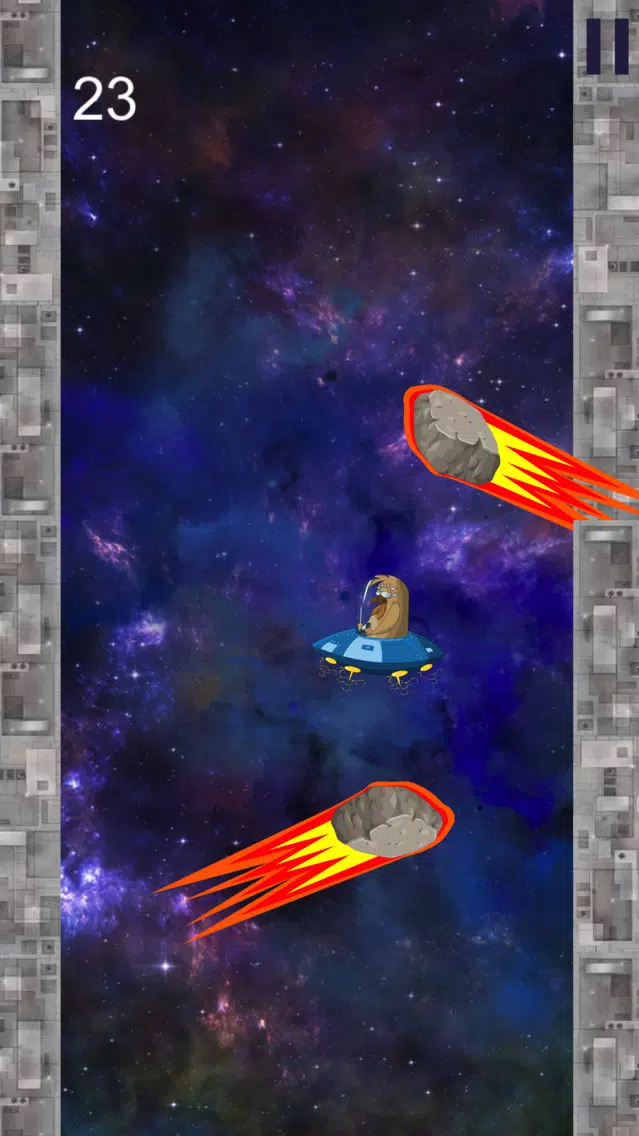 Tangkapan skrin Space Chicken - Incredible Way