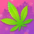The Weed Game: Marijuana Money The Weed Game: Marijuana Money