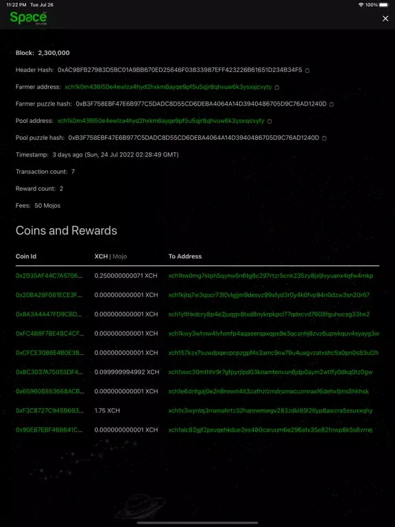 Ảnh chụp màn hình của Space Explorer Chia Blockchain iPad 