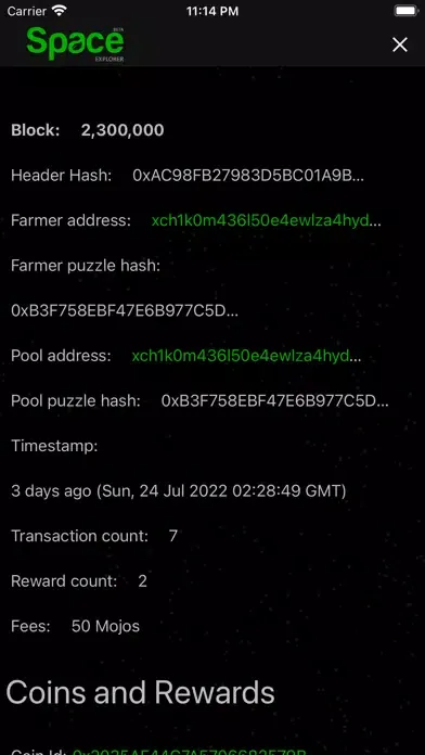 Ảnh chụp màn hình của Space Explorer Chia Blockchain