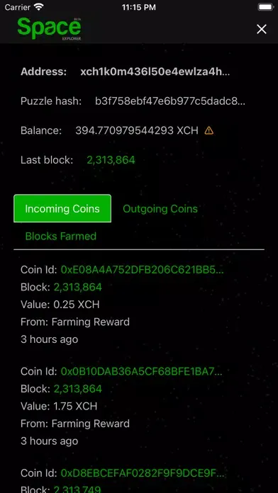 Ảnh chụp màn hình của Space Explorer Chia Blockchain