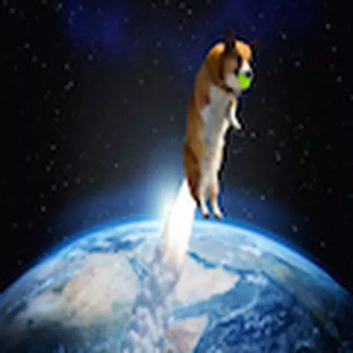 Space Corgi Defence Force