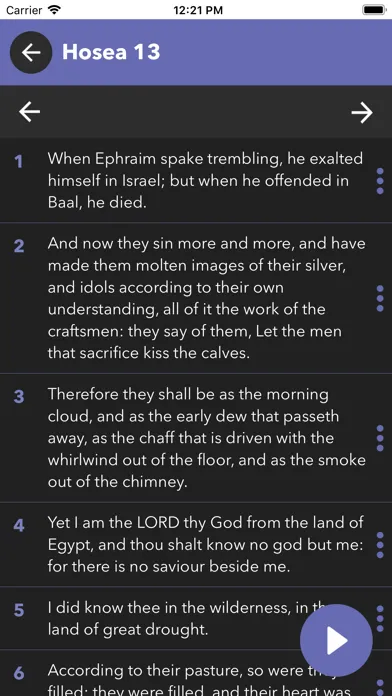Capturas de pantalla de Bible in Spanish