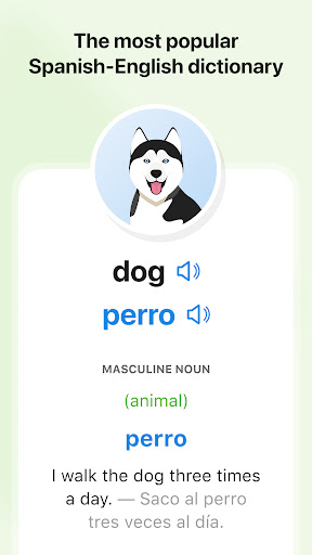 SpanishDictionary.com Learning Screenshots