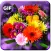 Flowers Gif Collection