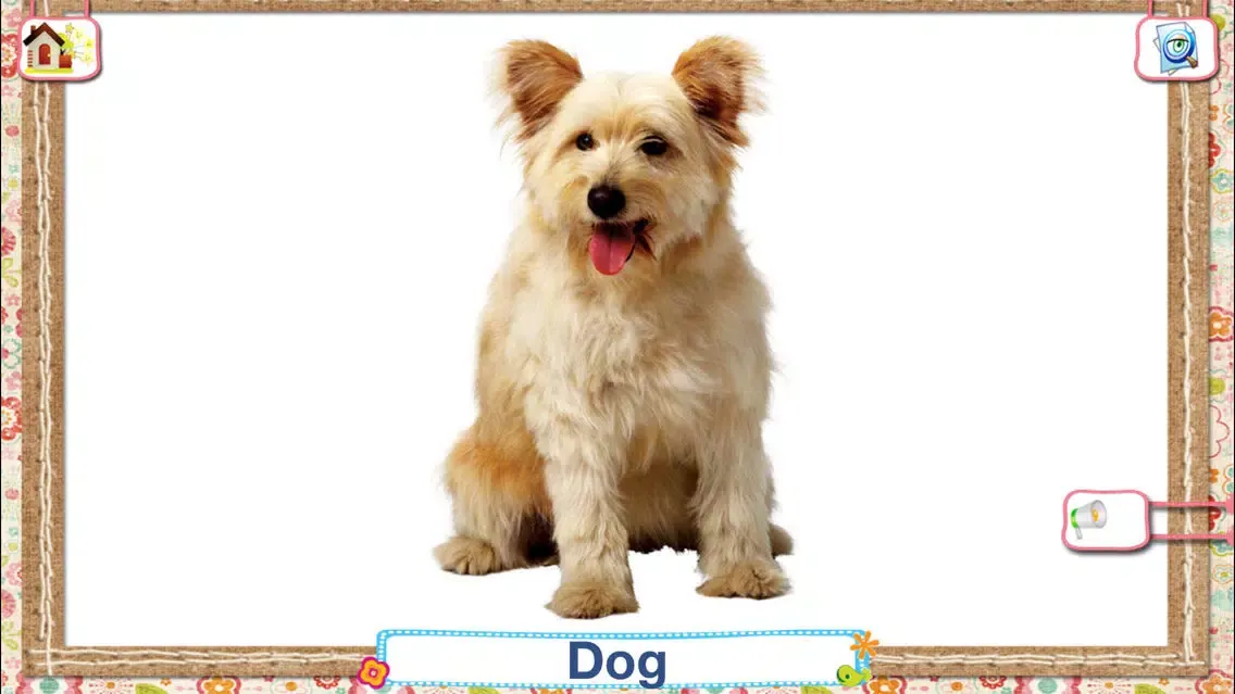 Flashcards Playtime for Toddlers Babies and Kids HD Screenshots