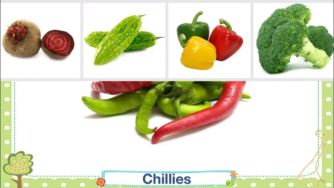 Flashcards Playtime for Toddlers Babies and Kids HD Screenshots