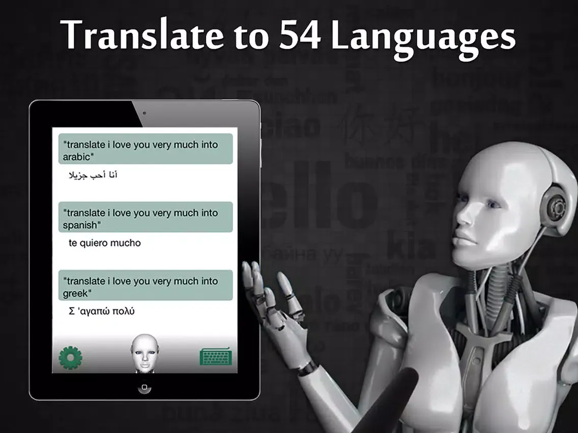 Tangkapan layar Voice Answer Lite iPad 