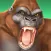 CCG Deck Adventures Wild Arena