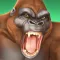 CCG Deck Adventures Wild Arena