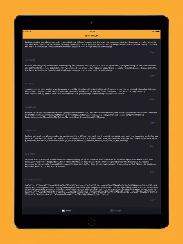 Tangkapan skrin Text Magix iPad 