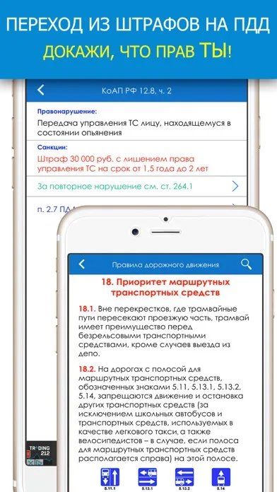 Штрафы ГИБДД 2025 Ekran Görüntüleri