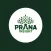 Prana Insight Learning