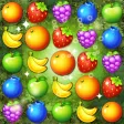 Fruits Forest : Rainbow Apple Fruits Forest : Rainbow Apple