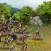 Kingdom Wars2