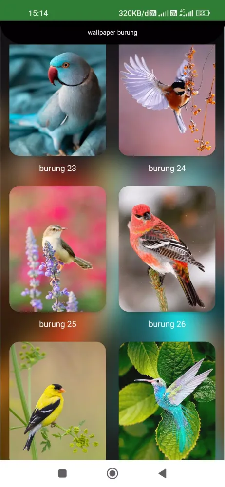 Capturas de pantalla de suara pikat burung truwok
