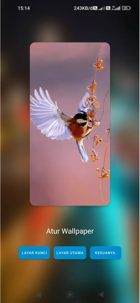 Capturas de pantalla de suara pikat burung truwok