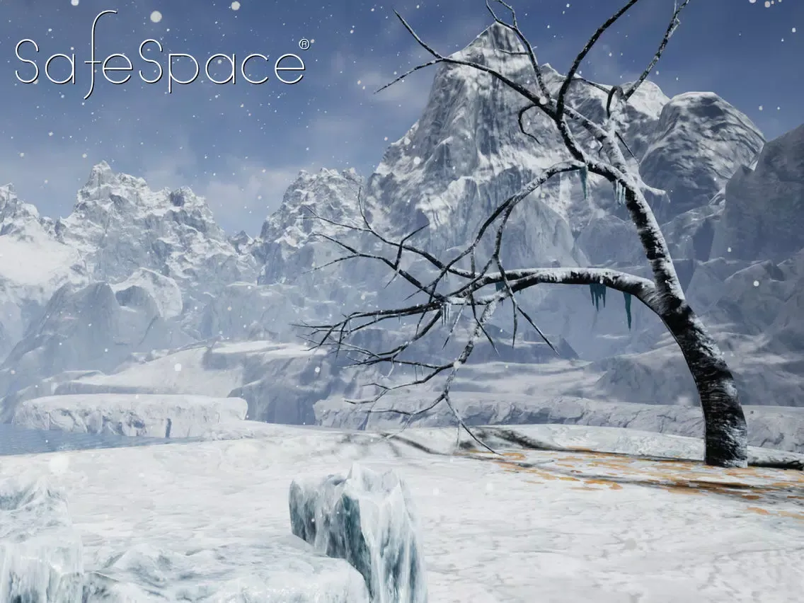 تصاویر SafeSpace Premium iPad 
