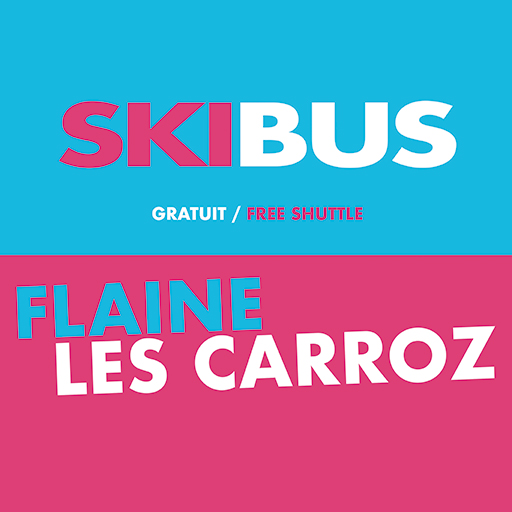 Skibus