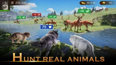 Wolf Game: Wild Animal Wars应用截图