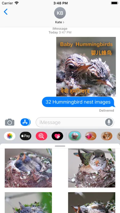 تصاویر Baby Hummingbirds