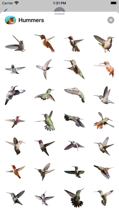 Capturas de pantalla de Hummingbird Sticker Pack