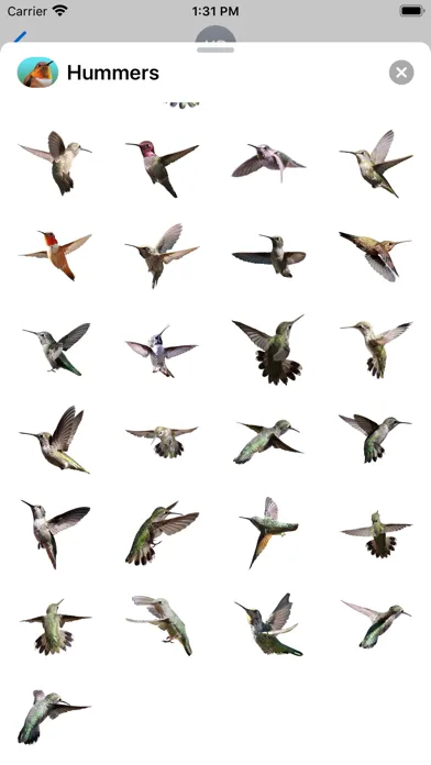 Capturas de pantalla de Hummingbird Sticker Pack