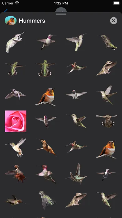 Capturas de pantalla de Hummingbird Sticker Pack