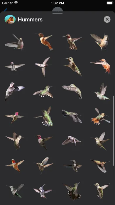 Capturas de pantalla de Hummingbird Sticker Pack