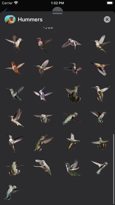 Capturas de pantalla de Hummingbird Sticker Pack