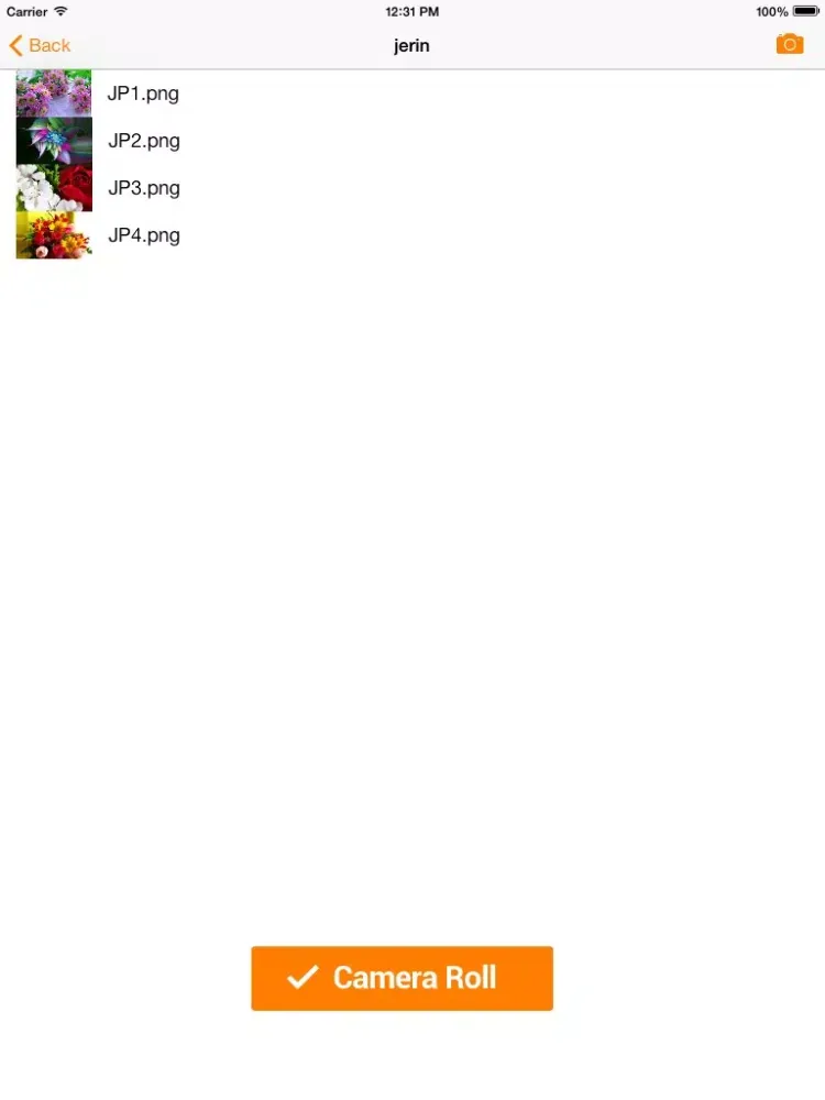 Zrzuty ekranu iMage Vallet iPad 