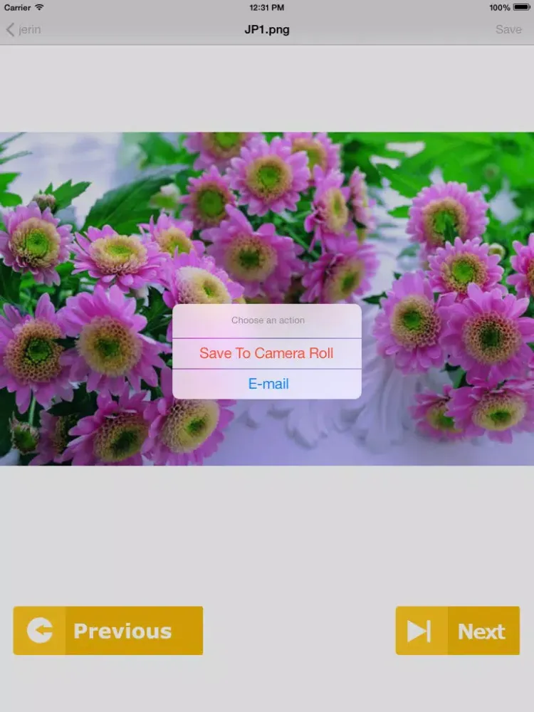 Zrzuty ekranu iMage Vallet iPad 