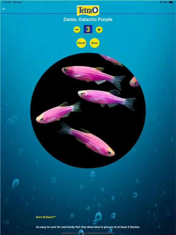 Tangkapan layar Tetra My Aquarium Connected iPad 