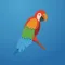 Speechling: Learn Any Language