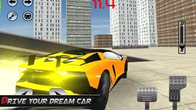 Extreme Car: Real Driving应用截图