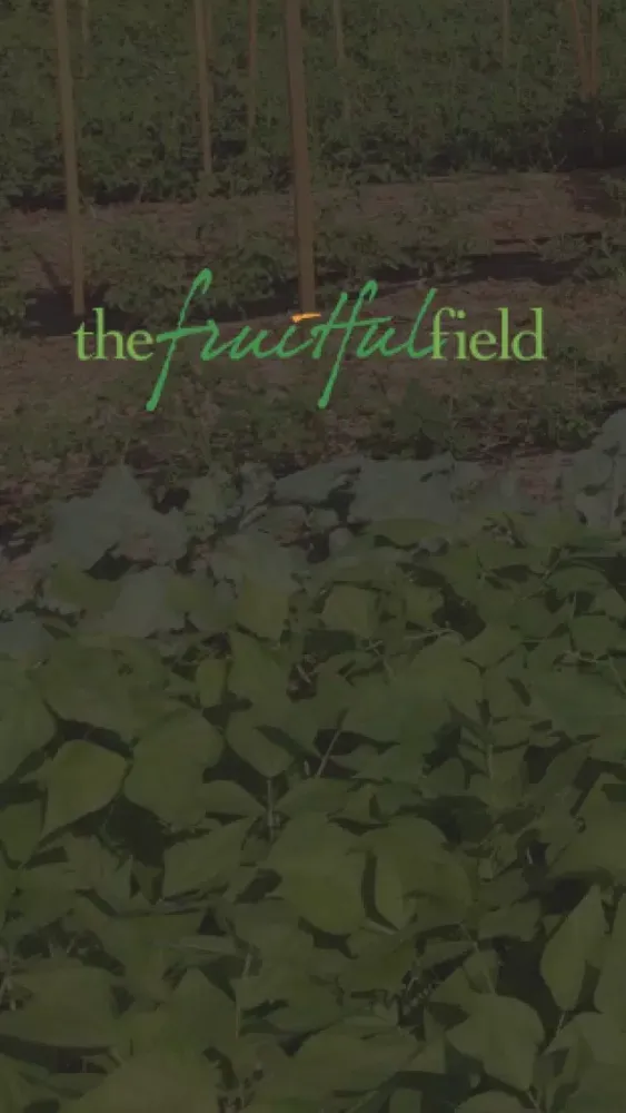 The Fruitful Field Screenshots